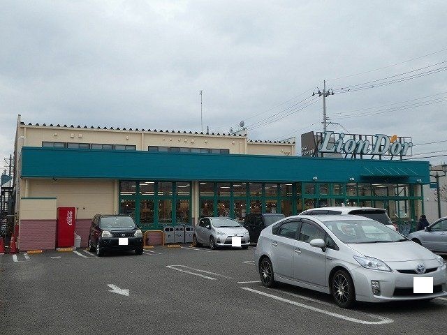 リオン・ドール南中央店