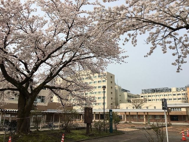 国立長岡技術科学大学