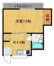 ベルジュ大宮の間取図