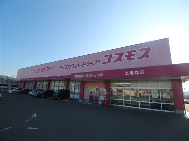 ディスカウントドラッグコスモス土与丸店
