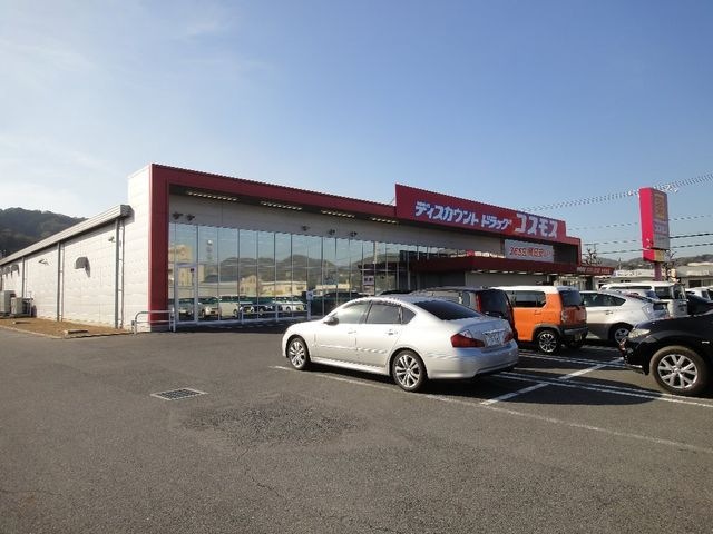 ディスカウントドラッグコスモス十日市店