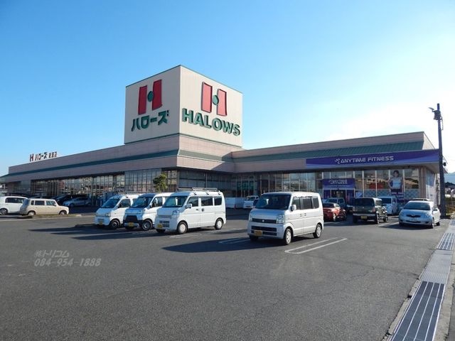 写真:ハローズ新涯店