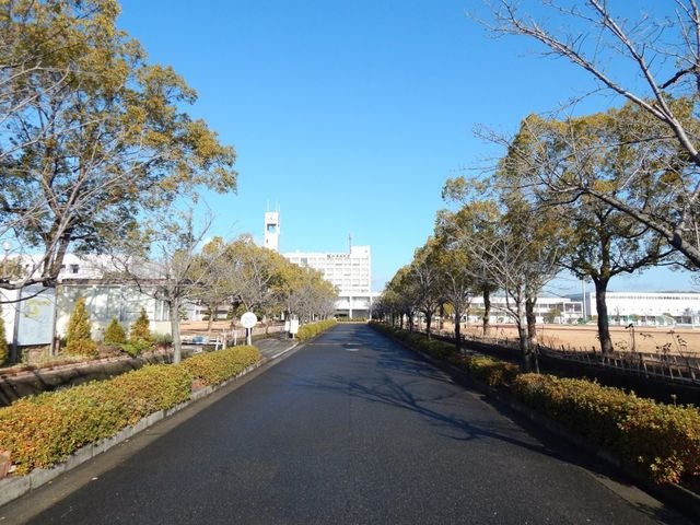 私立福山平成大学