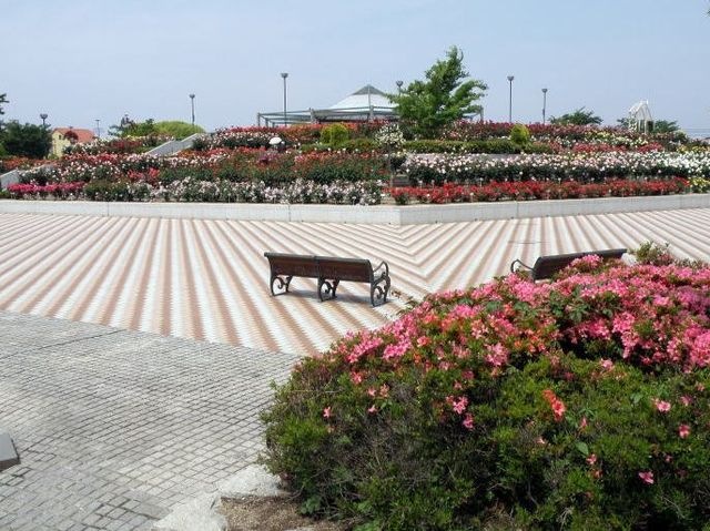 緑町公園