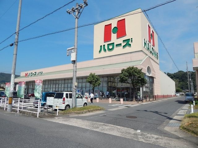 写真：ハローズ大門店