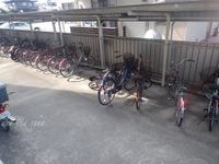 共有部分