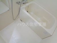 バス