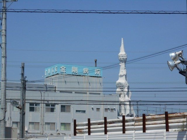 医療法人正清会金剛病院