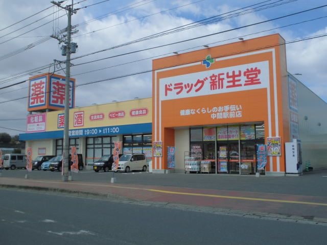 写真：ドラッグ新生堂中間駅前店