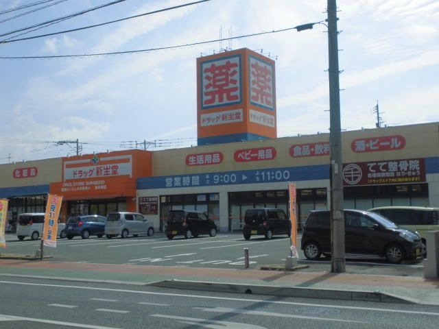 ドラッグ新生堂東中間店
