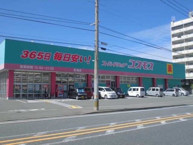 ディスカウントドラッグコスモス紅梅店