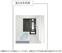 バス