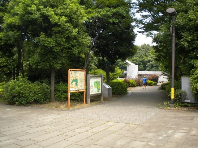 茅ヶ崎公園プール