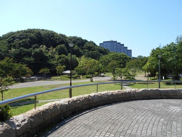 山田富士公園