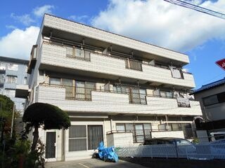 写真：ブライトハイムの外観