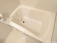 バス