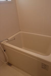 バス