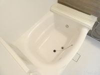 バス