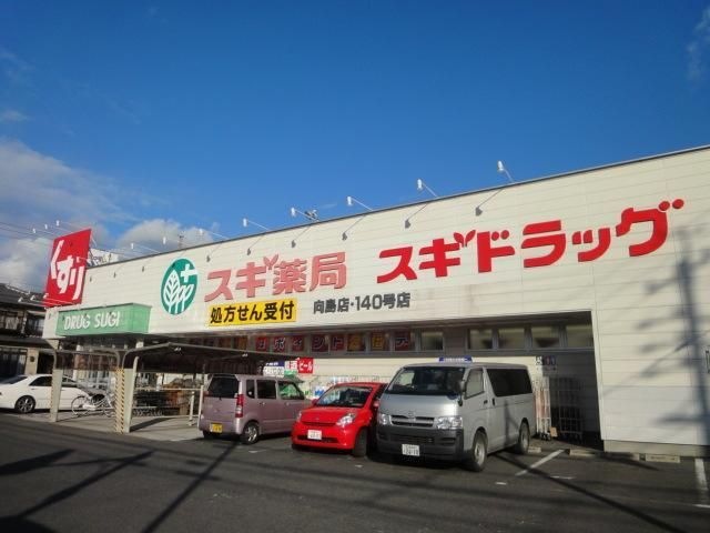 写真：スギ薬局向島店