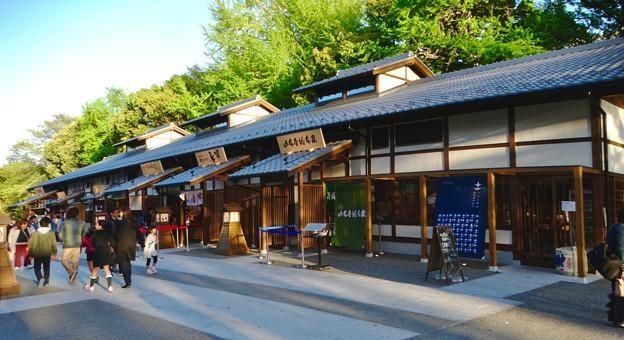 金シャチ横丁義直ゾーン