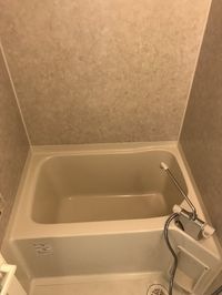 バス