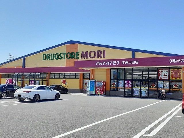 ドラッグストアモリ宇佐上田店