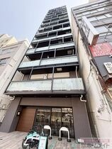 ブエナビスタ難波タワーの外観