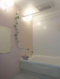 バス