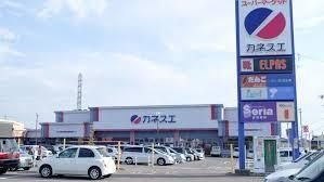 カネスエ瀬部店
