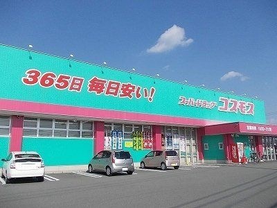 写真：ディスカウントドラッグコスモス藍住店