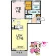 徳島市新南福島2丁目の間取図