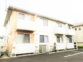 シュシュの外観