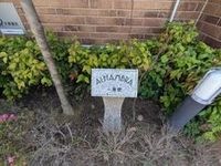 外観写真(昼)