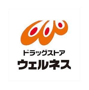ドラッグストアウェルネス八屋店