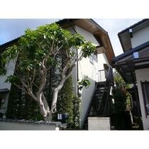 小平市上水南町2丁目の外観